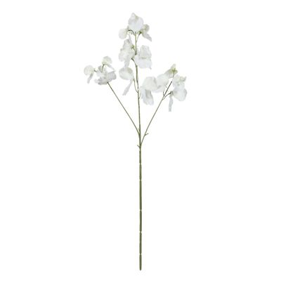 Botanica SweetPea - White - 73cm