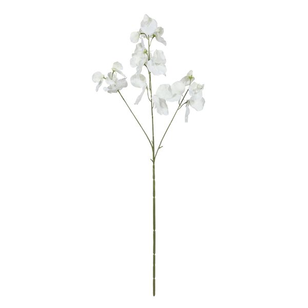 Botanica SweetPea - White - 73cm