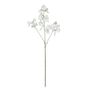 Botanica SweetPea - White - 73cm