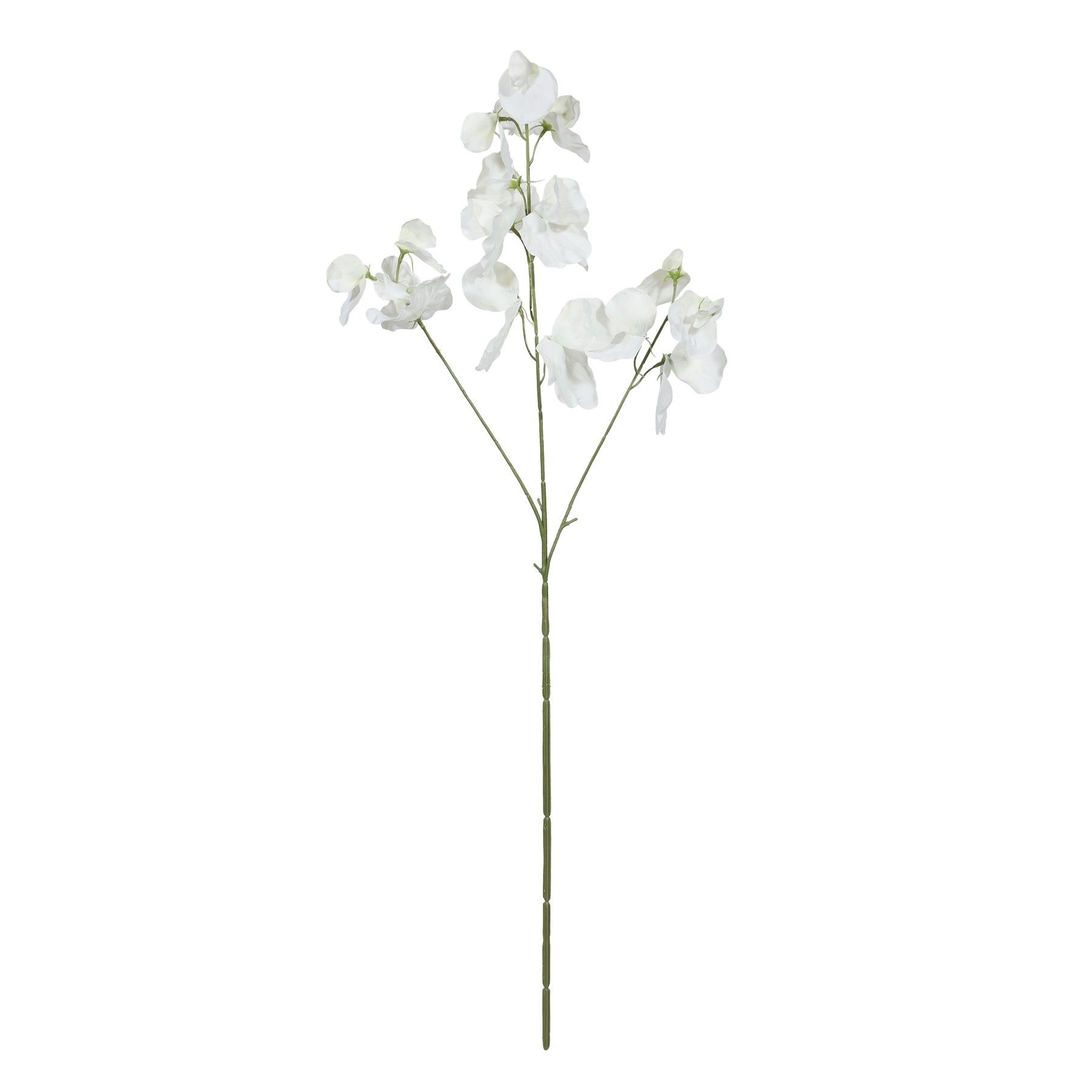 Botanica SweetPea - White - 73cm