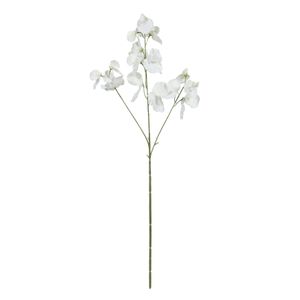 Botanica SweetPea - White - 73cm