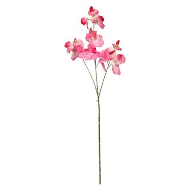 Botanica SweetPea - Pink - 73cm