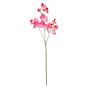 Botanica SweetPea - Pink - 73cm