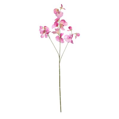 Botanica SweetPea - Violet - 73cm