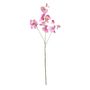 Botanica SweetPea - Violet - 73cm