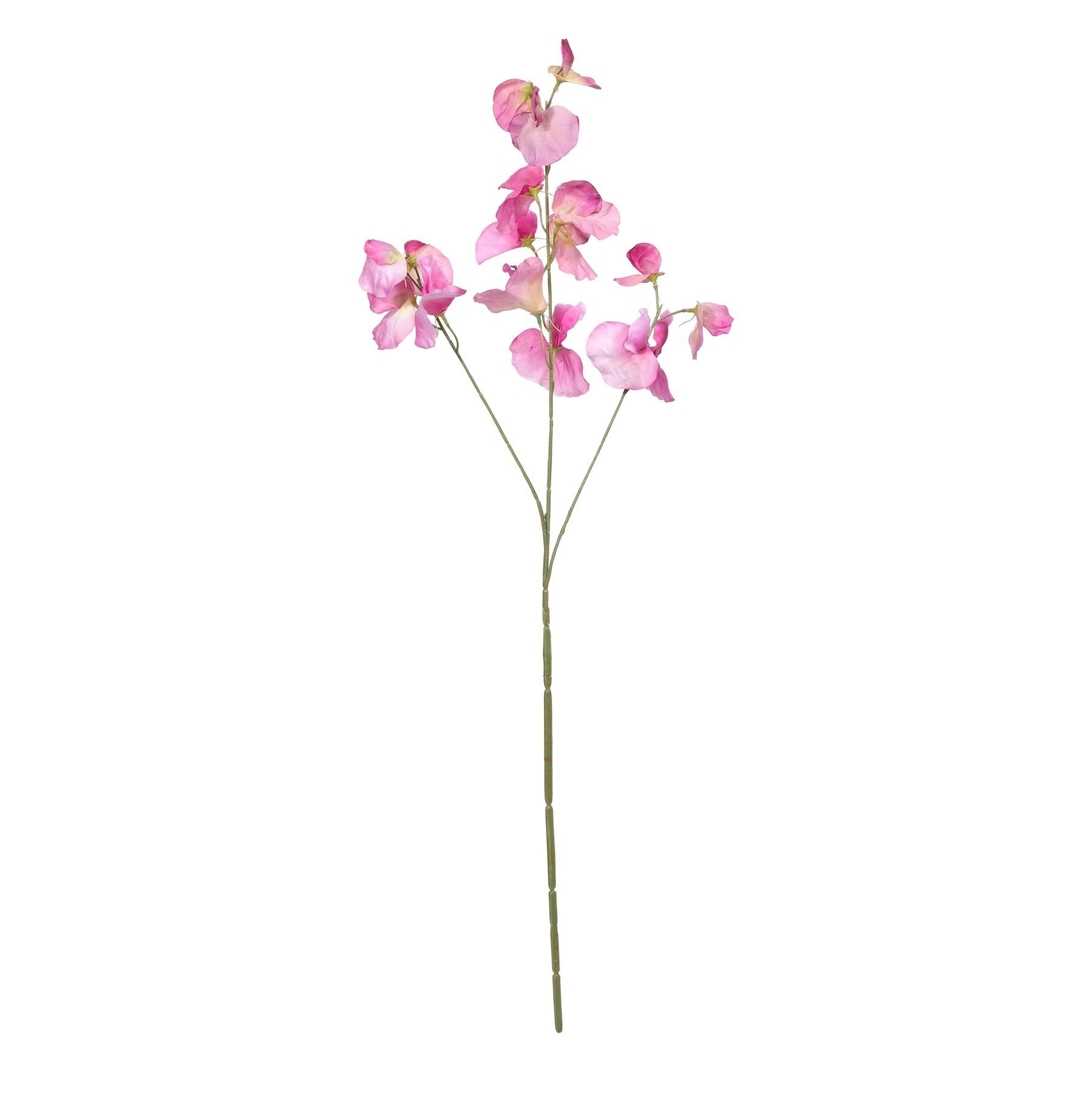 Botanica SweetPea - Violet - 73cm