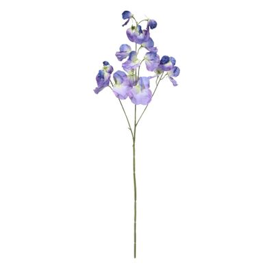 Botanica SweetPea - Dk Blue - 73cm