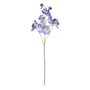 Botanica SweetPea - Dk Blue - 73cm