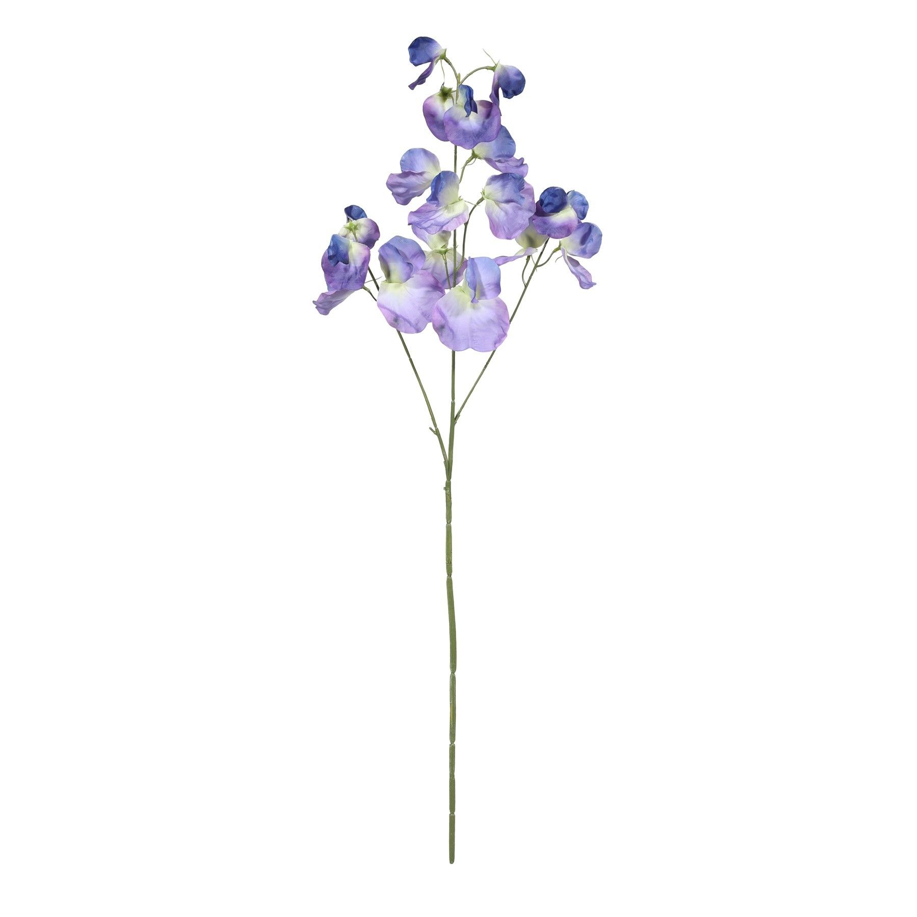 Botanica SweetPea - Dk Blue - 73cm
