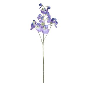 Botanica SweetPea - Dk Blue - 73cm