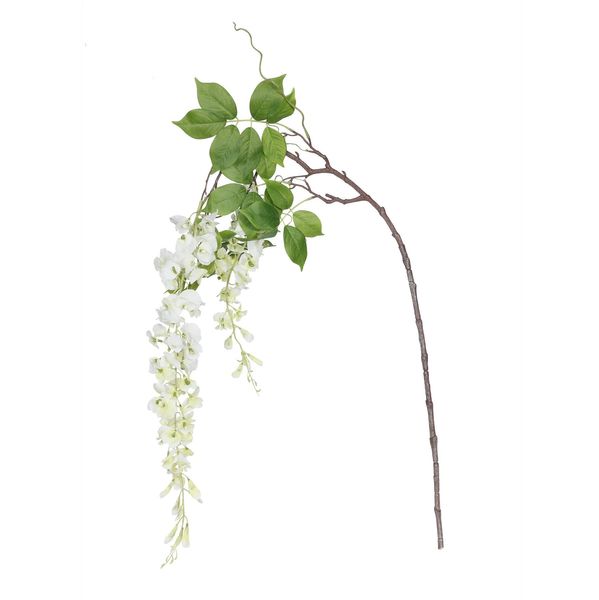 Botanica Wisteria Sinensis - White - 144cm