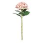 Botanica Giant Mop Head Hydrangea - Pink - 73cm