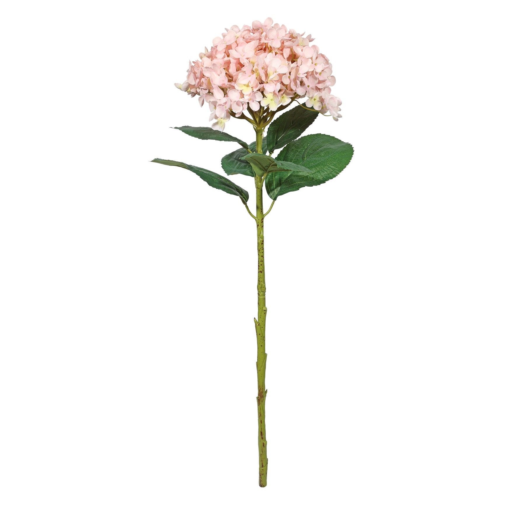 Botanica Giant Mop Head Hydrangea - Pink - 73cm