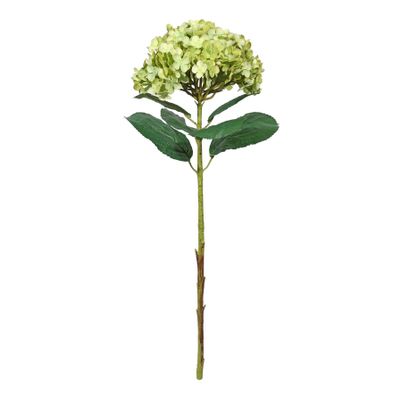 Botanica Giant Mop Head Hydrangea - Green - 73cm