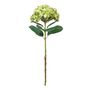 Botanica Giant Mop Head Hydrangea - Green - 73cm