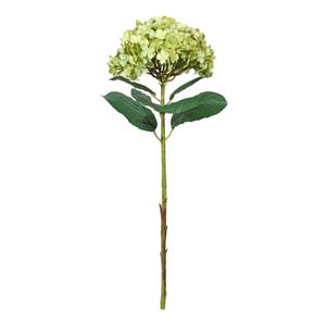 Botanica Giant Mop Head Hydrangea - Green - 73cm