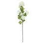 Botanica Virburnum Opulus - White - 87cm