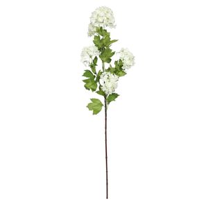 Botanica Virburnum Opulus - White - 87cm
