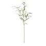 Botanica Willow Eucalyptus - Green -116cm