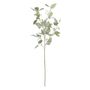 Botanica Seeded Eucalyptus - Green - 115cm