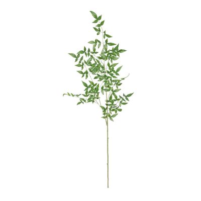 Botanica Giant Ruscus - Green - 134cm