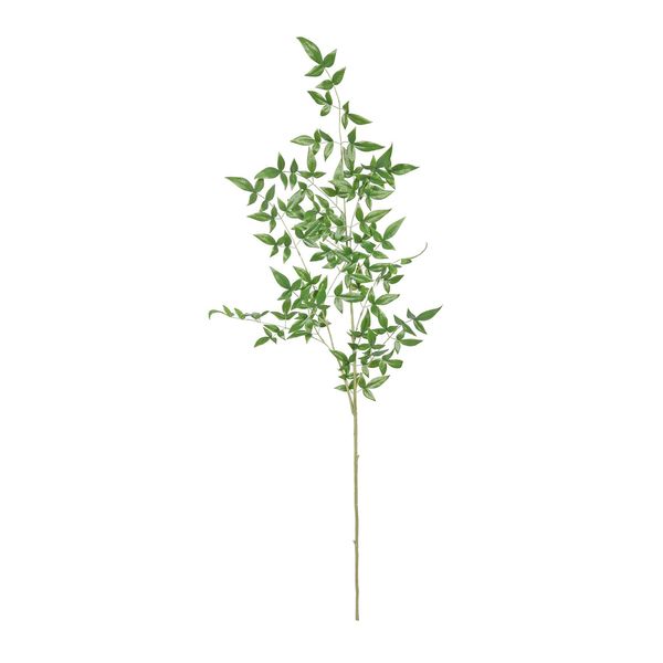 Botanica Giant Ruscus - Green - 134cm