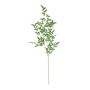 Botanica Giant Ruscus - Green - 134cm