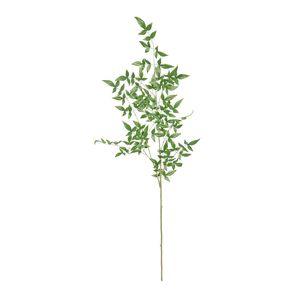 Botanica Giant Ruscus - Green - 134cm