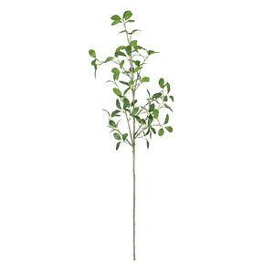 Botanica Giant Pitto Leaf - Green - 114cm