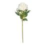 Botanica Giant Peony - White - 91cm