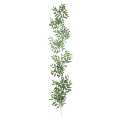 Botanica Ruscus Garland - Green  - 167cm