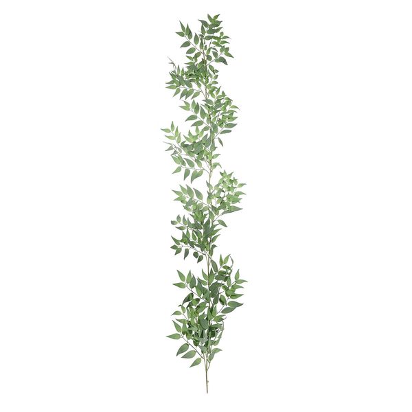 Botanica Ruscus Garland - Green  - 167cm
