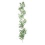 Botanica Ruscus Garland - Green  - 167cm