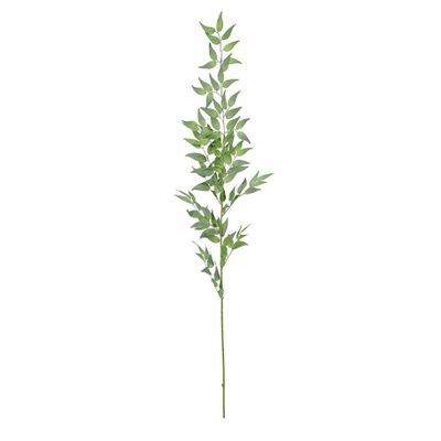 Botanica Ruscus Spray- Green  - 121cm