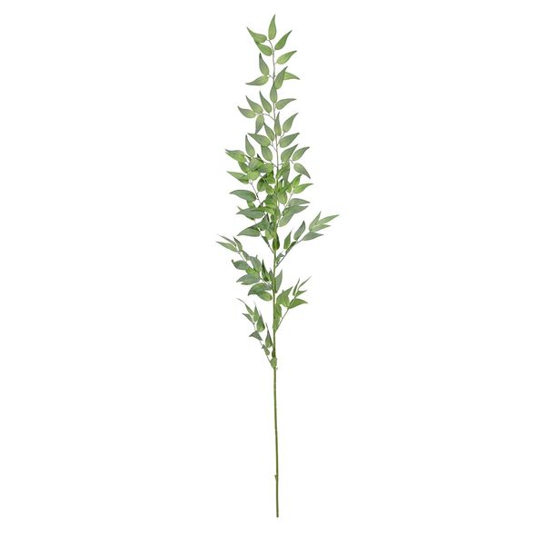 Botanica Ruscus Spray- Green  - 121cm