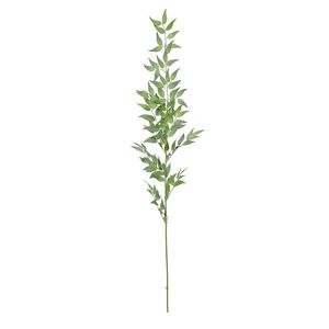 Botanica Ruscus Spray- Green  - 121cm