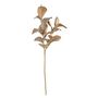 Magnolia Leaf - Champagne Gold - 98cm