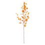 Glamis Birch - Yellow - 96cm