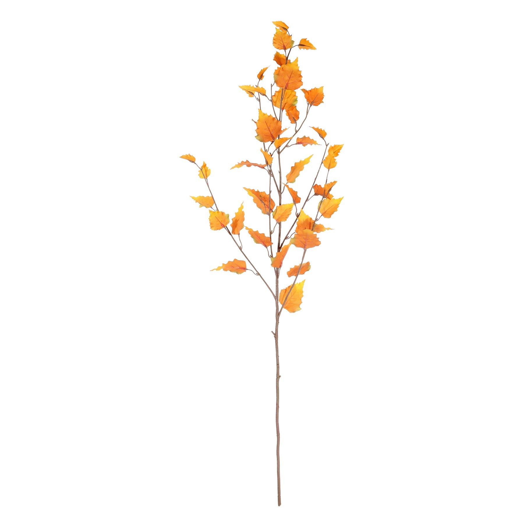 Glamis Birch - Yellow - 96cm