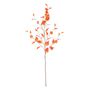 Glamis Birch - Orange - 96cm