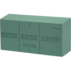 Oasis Ideal Foam Single Brick