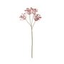 Anethum Spray - Russet - 81cm