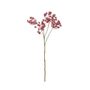Anethum Spray - Dark Red - 81cm