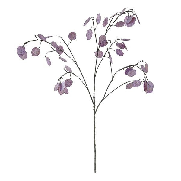 Silver Dollar Spray - Pink - 110cm