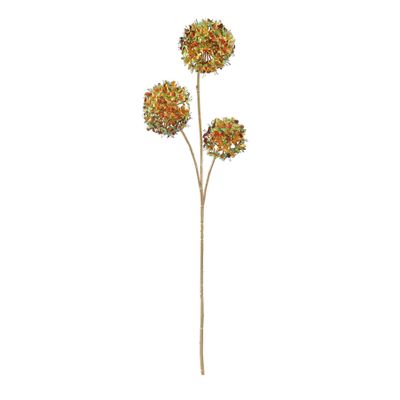 Cassia Fistula - Russet/Green - 98cm