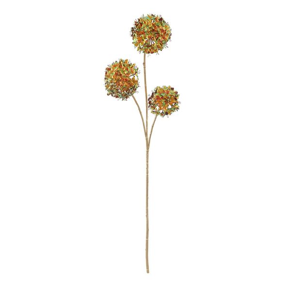 Cassia Fistula - Russet/Green - 98cm