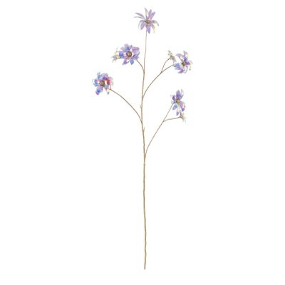 Edelweiss - Purple - 101cm