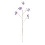 Edelweiss - Purple - 101cm