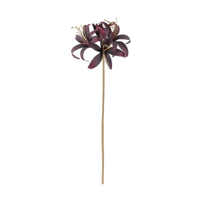 Hippeastrum Spray - Dark Purple - 80cm