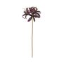 Hippeastrum Spray - Dark Purple - 80cm